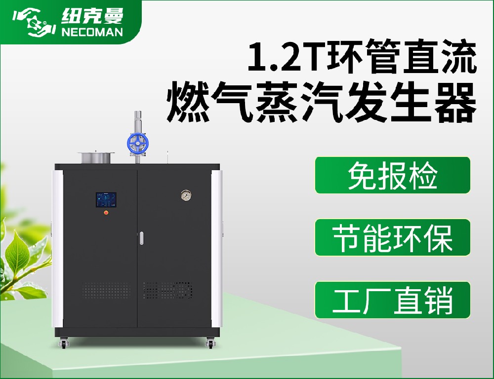 1.2噸 燃油燃?xì)庹羝l(fā)生器