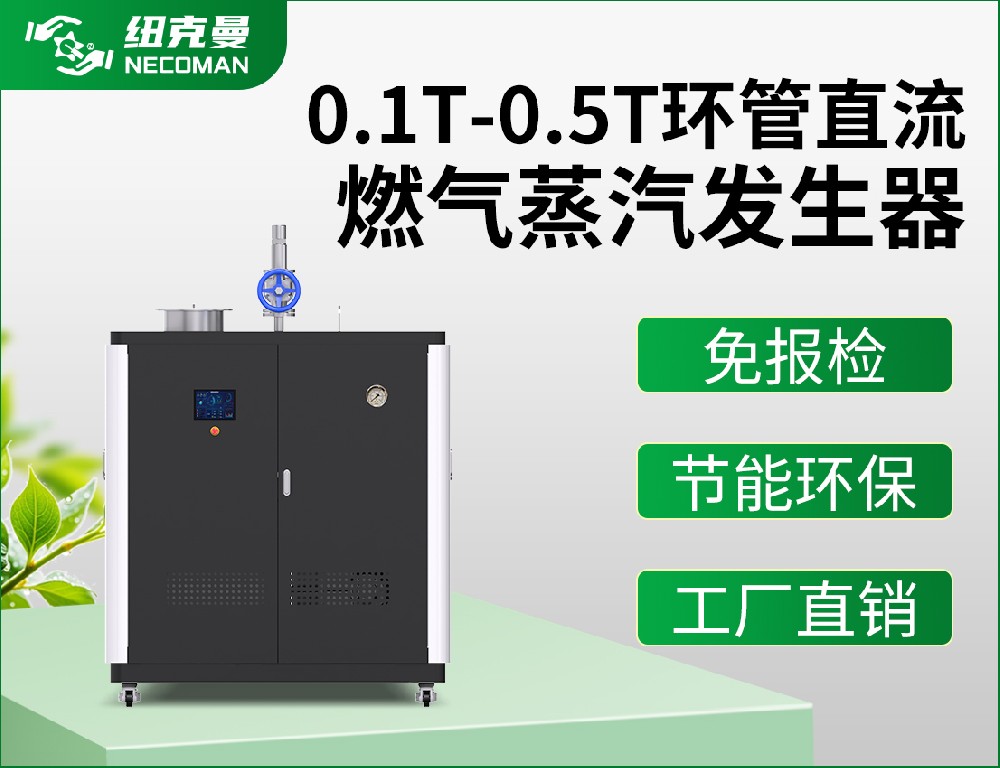 0.1噸-0.5噸 燃油燃?xì)庹羝l(fā)生